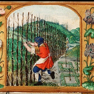 Peut inclure: Une illustration m&eacute;di&eacute;vale repr&eacute;sentant un homme en train d'&eacute;laguer une rang&eacute;e d'arbres dans un jardin. L'homme porte une tunique rouge, un pantalon bleu et un chapeau bleu. Le jardin est entour&eacute; d'une cl&ocirc;ture et il y a des fleurs en arri&egrave;re-plan.