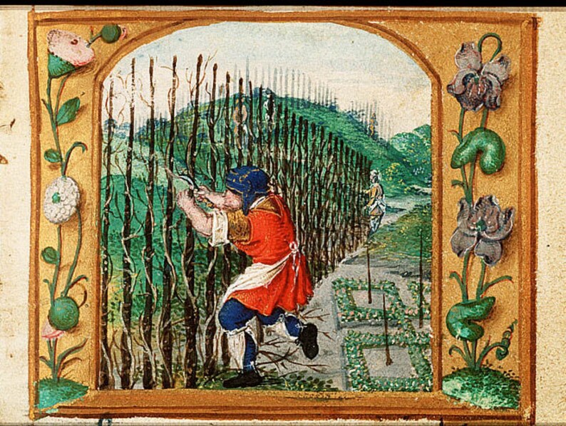 Peut inclure: Une illustration m&eacute;di&eacute;vale repr&eacute;sentant un homme en train d'&eacute;laguer une rang&eacute;e d'arbres dans un jardin. L'homme porte une tunique rouge, un pantalon bleu et un chapeau bleu. Le jardin est entour&eacute; d'une cl&ocirc;ture et il y a des fleurs en arri&egrave;re-plan.