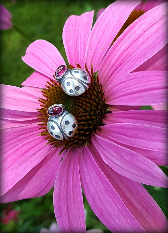 Silver ladybug shop earrings