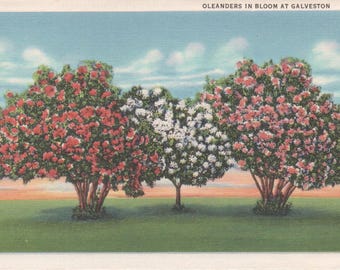 Álbum de recortes retro de Old Galveston, Texas, efímeros, diario de recortes, etiquetas imprimibles, papeles, postales, pegatinas, documentos, descarga digital