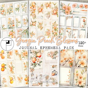 Kit de diario digital con efímeras de melocotón, pegatinas, etiquetas, suministros imprimibles y descargables.