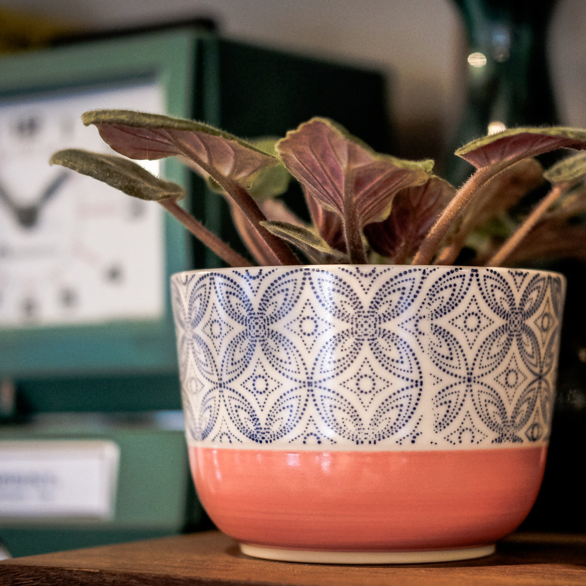 Bol à Céréales Corail - Étoiles Bleues