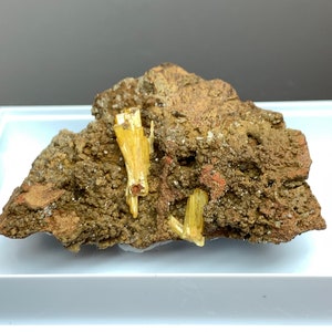 May include: A natural mineral specimen featuring a rough, brown matrix with several golden-yellow, needle-like crystal formations. The crystals are clustered and stand out against the textured background. The specimen is displayed on a white surface.