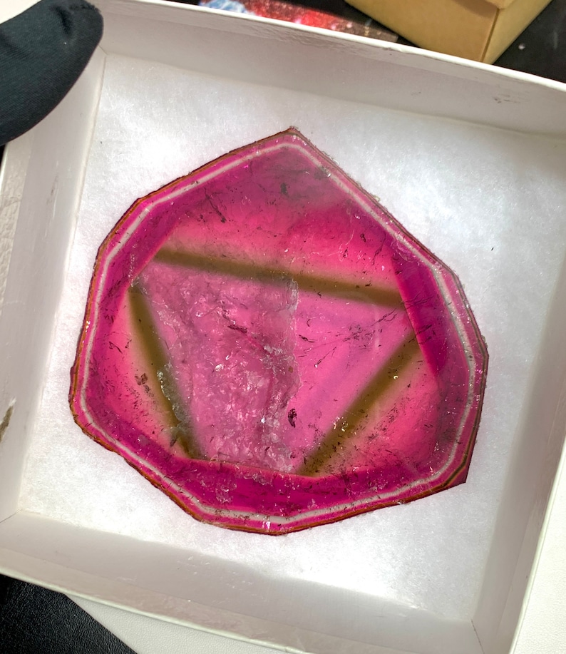 K&ouml;nnte beinhalten: Eine Scheibe des Edelsteins Wassermelonen-Turmalin, die einen Farbverlauf aus rosa und gr&uuml;nen Farbt&ouml;nen zeigt. Der Stein ist in eine unregelm&auml;&szlig;ige Form geschnitten und wird in einer wei&szlig;en Box mit weichem, strukturiertem Futter pr&auml;sentiert. Die nat&uuml;rlichen Muster des Edelsteins sind sichtbar.