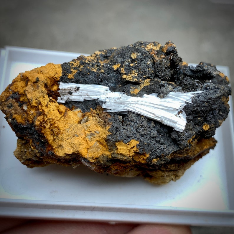 May include: A natural mineral specimen featuring a cluster of white, needle-like crystals embedded in a matrix of black and golden-brown rock. The contrasting colors and textures create a visually striking display, showcasing the raw beauty of geological formations.