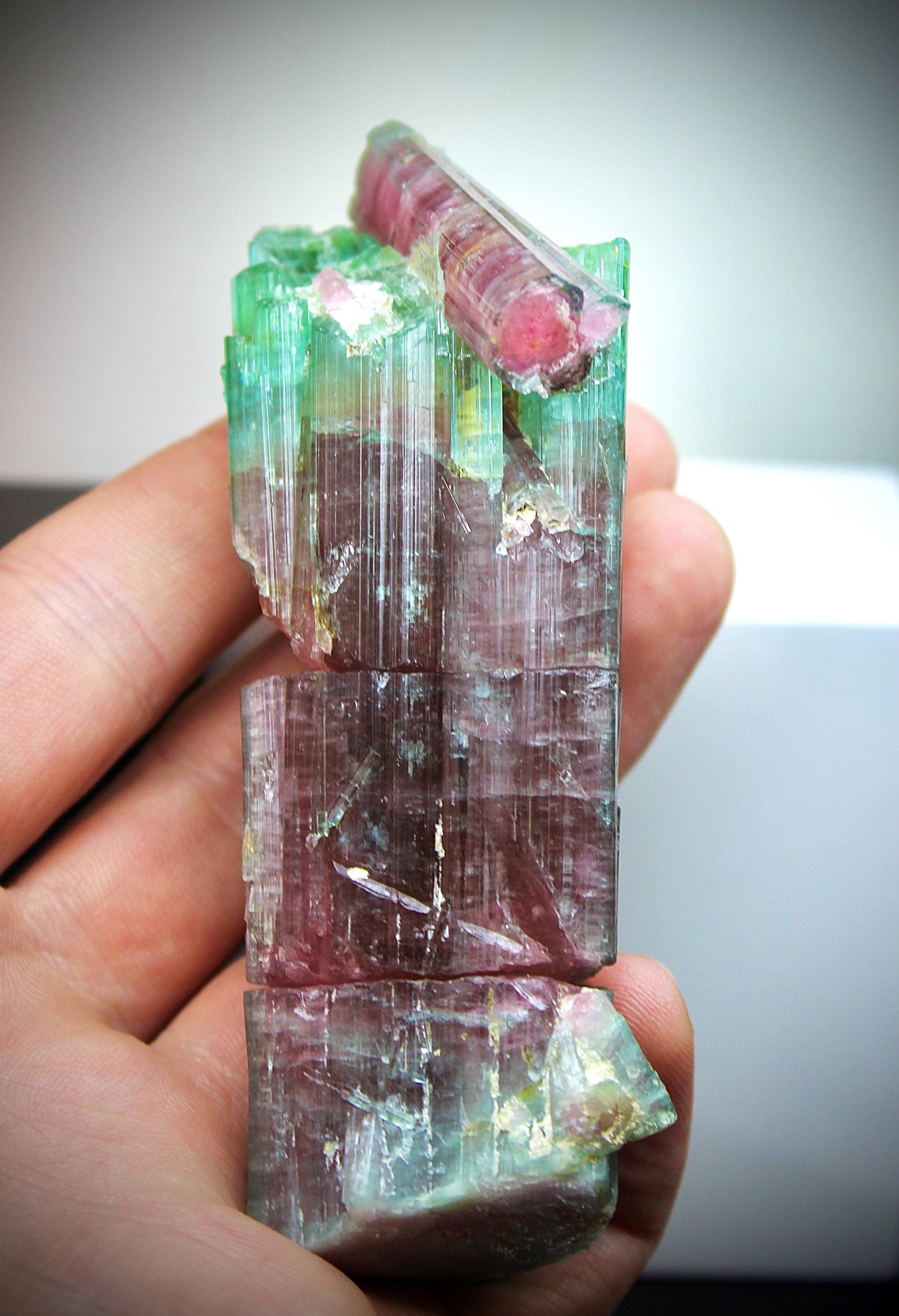 188 Gram Elbaite Tourmaline Crystal Watermelon Tourmaline