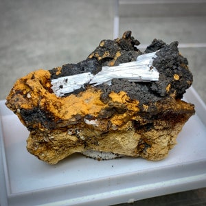 May include: A mineral specimen featuring a cluster of white, needle-like crystals atop a matrix of dark gray and orange-brown rock. The rock has a rough, textured surface, with areas of black and yellow hues. The specimen is displayed in a white tray.