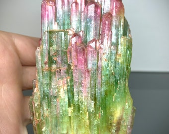 Tamaño de gabinete Sandía Elbaite Turmalina // Minas Gerais, Brasil.