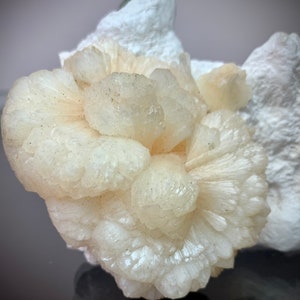 Puede incluir: Primer plano de un grupo de cristales blanco crema, que se asemejan a una flor, sobre un fondo de roca blanca. La formaci&oacute;n cristalina tiene un patr&oacute;n radial con una superficie texturizada y peque&ntilde;as motas oscuras.