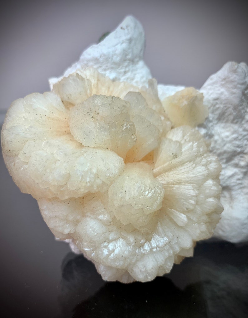 Puede incluir: Primer plano de un grupo de cristales blanco crema, que se asemejan a una flor, sobre un fondo de roca blanca. La formaci&oacute;n cristalina tiene un patr&oacute;n radial con una superficie texturizada y peque&ntilde;as motas oscuras.