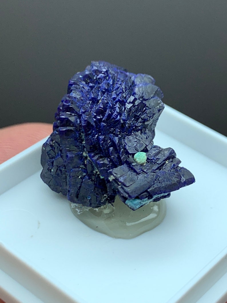 Azurite New Hanover Mine, Tyrone, Grant Co, New Mexico, USA. image 7