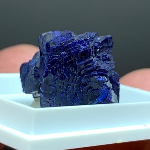 Azurite New Hanover Mine, Tyrone, Grant Co, New Mexico, USA. image 4