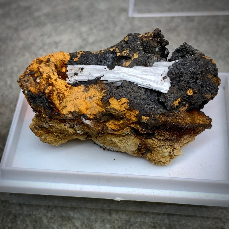 May include: A mineral specimen featuring a cluster of white, needle-like crystals embedded in a matrix of dark gray and golden-brown rock. The rock has a rough, textured surface, and the crystals are arranged in a radiating pattern.