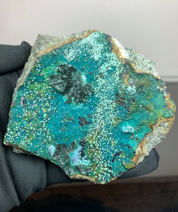 Polished Atacamite