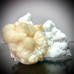 Puede incluir: Primer plano de un esp&eacute;cimen mineral que presenta un grupo de formaciones esf&eacute;ricas de color crema. El grupo se encuentra sobre un fondo de roca blanca y texturizada. El mineral tiene un aspecto cristalino.