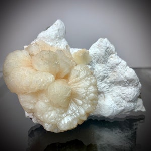 Puede incluir: Primer plano de un esp&eacute;cimen mineral que presenta un grupo de formaciones esf&eacute;ricas de color blanco cremoso con estructuras radiantes en forma de abanico. La muestra descansa sobre una base blanca texturizada, con una superficie reflectante debajo.