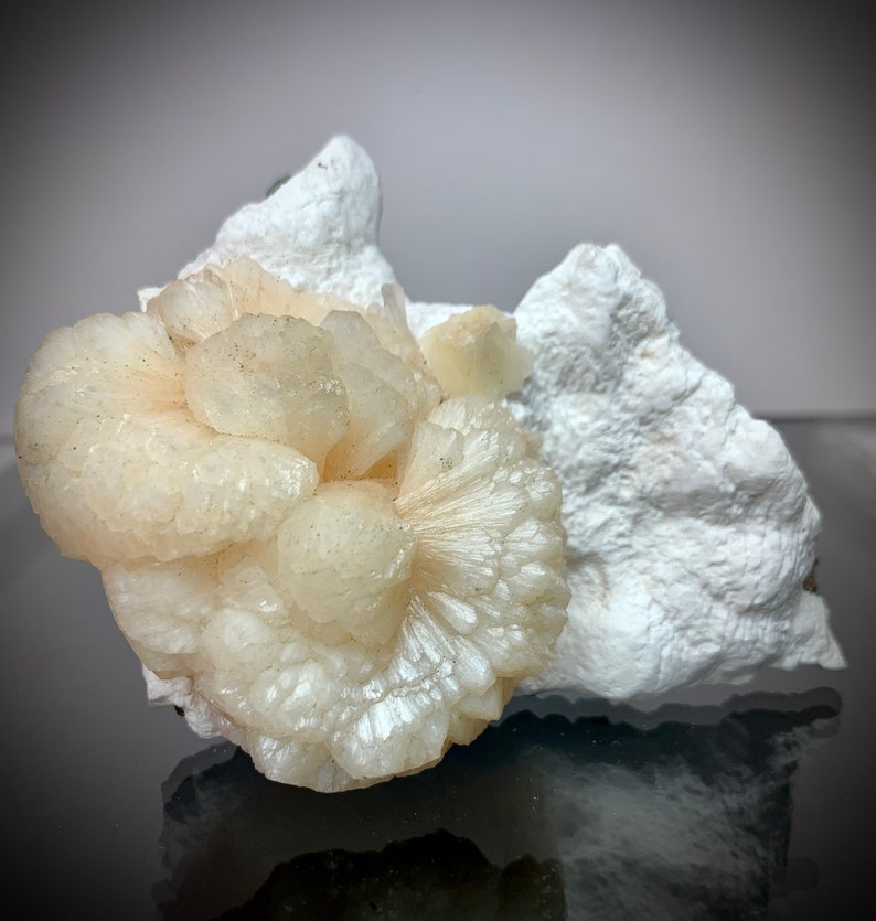 Puede incluir: Primer plano de un esp&eacute;cimen mineral que presenta un grupo de formaciones esf&eacute;ricas de color blanco cremoso con estructuras radiantes en forma de abanico. La muestra descansa sobre una base blanca texturizada, con una superficie reflectante debajo.