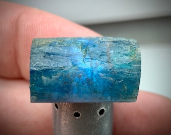 Der seltenste intakte Paraiba-Turmalin-Kuprian-Elbait-Kristall von 37,85 Karat || Batalha-Mine, Junco do Seridó, Paraíba, Brasilien.