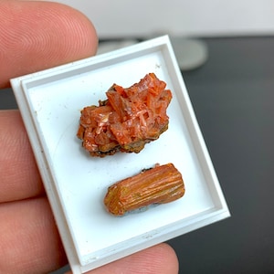 Könnte beinhalten: Zwei orangerote Mineralproben, präsentiert in einer weißen Schale. Die obere Probe ist ein Cluster aus nadelförmigen Kristallen. Die untere Probe ist ein kleinerer, länglicher Kristall mit parallelen Streifen.
