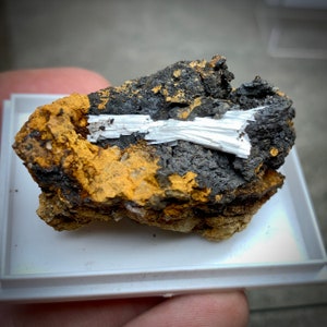 May include: A mineral specimen featuring a combination of colors and textures. The rock has a dark gray and black base with a layer of golden-brown material. A cluster of white, fibrous crystals is embedded within the rock.