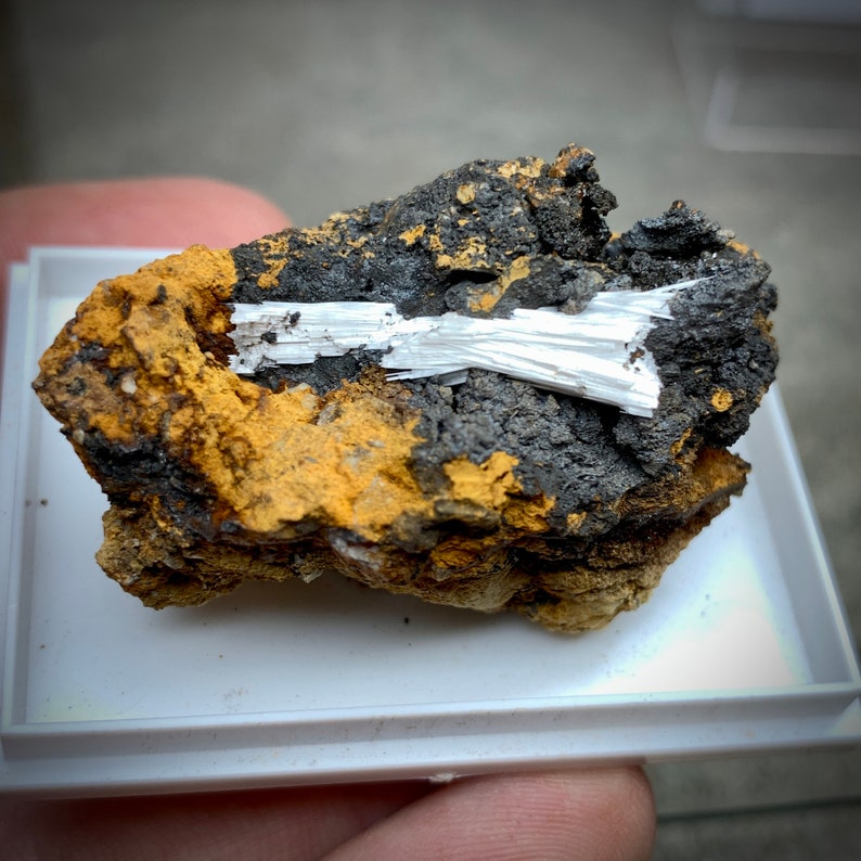 May include: A mineral specimen featuring a combination of colors and textures. The rock has a dark gray and black base with a layer of golden-brown material. A cluster of white, fibrous crystals is embedded within the rock.