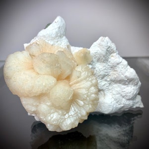 Puede incluir: Primer plano de un grupo de cristales blanquecinos, que parecen una flor, sobre una formaci&oacute;n rocosa blanca y texturizada. Los cristales tienen un aspecto delicado y en capas, con una est&eacute;tica suave y natural.