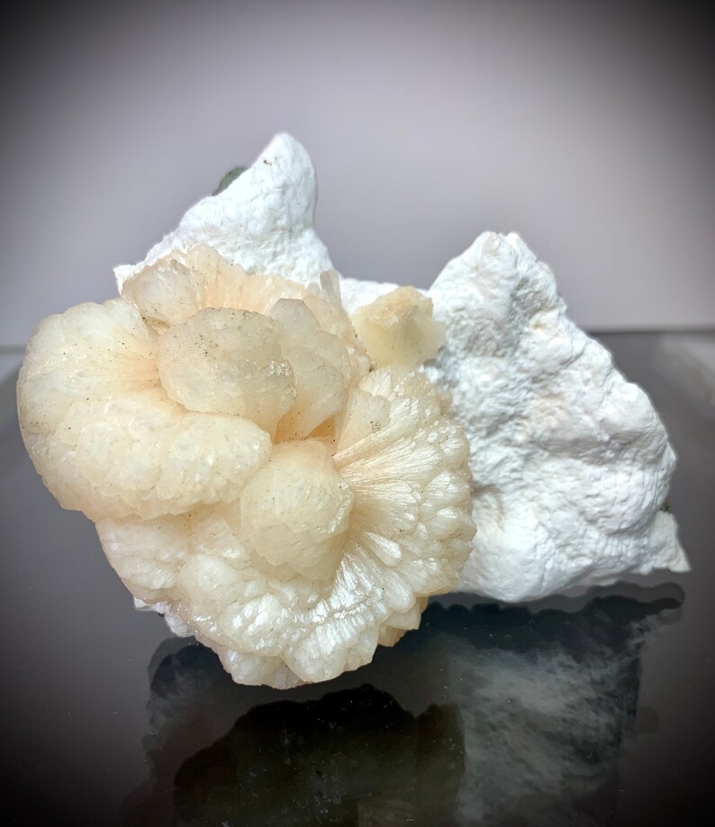 Puede incluir: Primer plano de un grupo de cristales blanquecinos, que parecen una flor, sobre una formaci&oacute;n rocosa blanca y texturizada. Los cristales tienen un aspecto delicado y en capas, con una est&eacute;tica suave y natural.