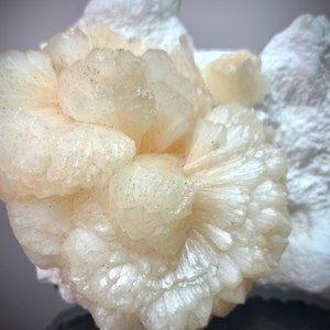 Puede incluir: Primer plano de un grupo de cristales blanco crema, que se asemejan a una flor. Los cristales tienen una estructura delicada y en capas con una textura ligeramente rugosa. El fondo es un tono m&aacute;s claro de blanco.