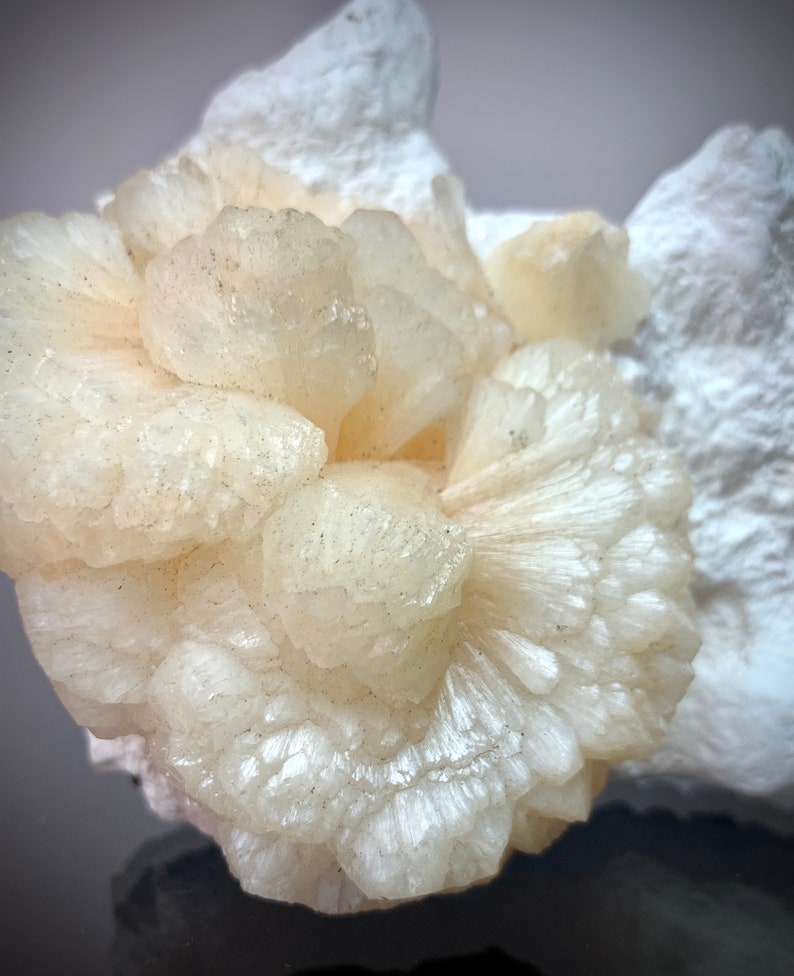 Puede incluir: Primer plano de un grupo de cristales blanco crema, que se asemejan a una flor. Los cristales tienen una estructura delicada y en capas con una textura ligeramente rugosa. El fondo es un tono m&aacute;s claro de blanco.