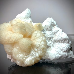 Puede incluir: Primer plano de un grupo de formaciones minerales de color blanco cremoso. El enfoque principal est&aacute; en un grupo redondeado y texturizado con un patr&oacute;n radial, que se asemeja a una flor. Se encuentra junto a una formaci&oacute;n rocosa blanca m&aacute;s grande y rugosa. El fondo es gris neutro.