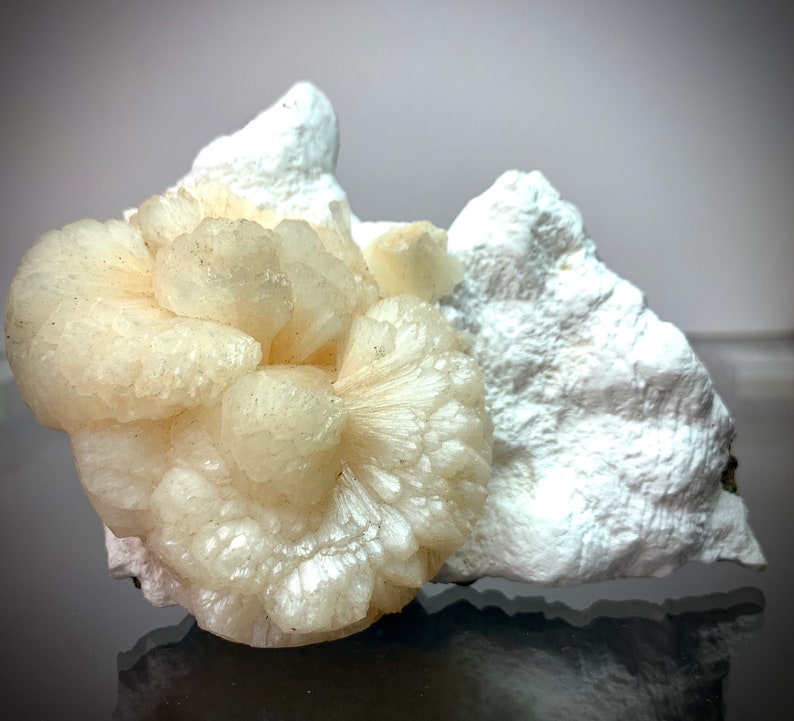 Puede incluir: Primer plano de un grupo de formaciones minerales de color blanco cremoso. El enfoque principal est&aacute; en un grupo redondeado y texturizado con un patr&oacute;n radial, que se asemeja a una flor. Se encuentra junto a una formaci&oacute;n rocosa blanca m&aacute;s grande y rugosa. El fondo es gris neutro.