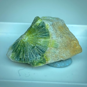 May include: A natural stone specimen featuring a striking combination of colors and textures. The stone displays a vibrant green, radiating pattern on one side, contrasting with the rough, tan-colored surface of the rest of the rock. A small, blue stone rests beneath it.