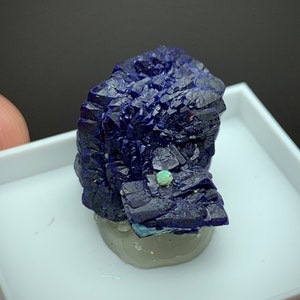 Azurite New Hanover Mine, Tyrone, Grant Co, New Mexico, USA. image 2