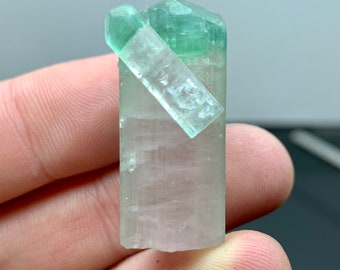 Twinned Terminated Bi Colour Tourmaline Crystal || Alingar pegmatite field, Alingar District (Alinghar District), Laghman, Afghanistan.