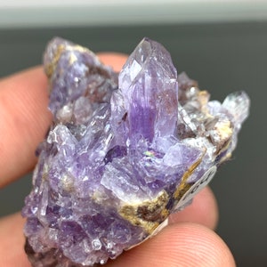 May include: A cluster of amethyst crystals, showcasing a range of purple hues. The crystals are clustered together, with a prominent, well-formed central point. The base has a mix of brown and grey tones.
