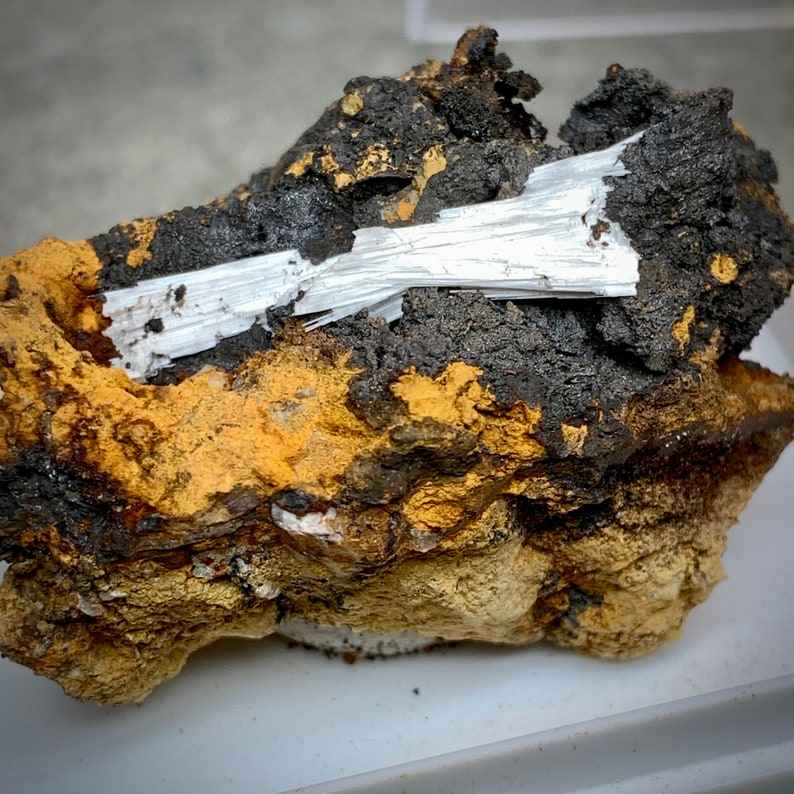 May include: A close-up of a mineral specimen featuring a cluster of white, needle-like crystals embedded in a matrix of dark gray and golden-brown rock. The rock has a rough, textured surface.