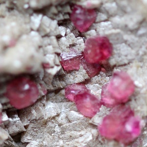 Puede incluir: Primer plano de un espécimen mineral con grupos de cristales rosas vibrantes y translúcidos incrustados en una matriz de roca gris clara y estratificada. Los cristales son cúbicos y reflejan la luz.
