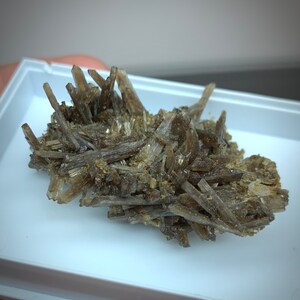 Puede incluir: Un grupo de formaciones minerales cristalinas marrones. Los cristales son alargados y agrupados, creando una apariencia espinosa y texturizada. El mineral se exhibe en una bandeja blanca, resaltando su color y forma naturales.