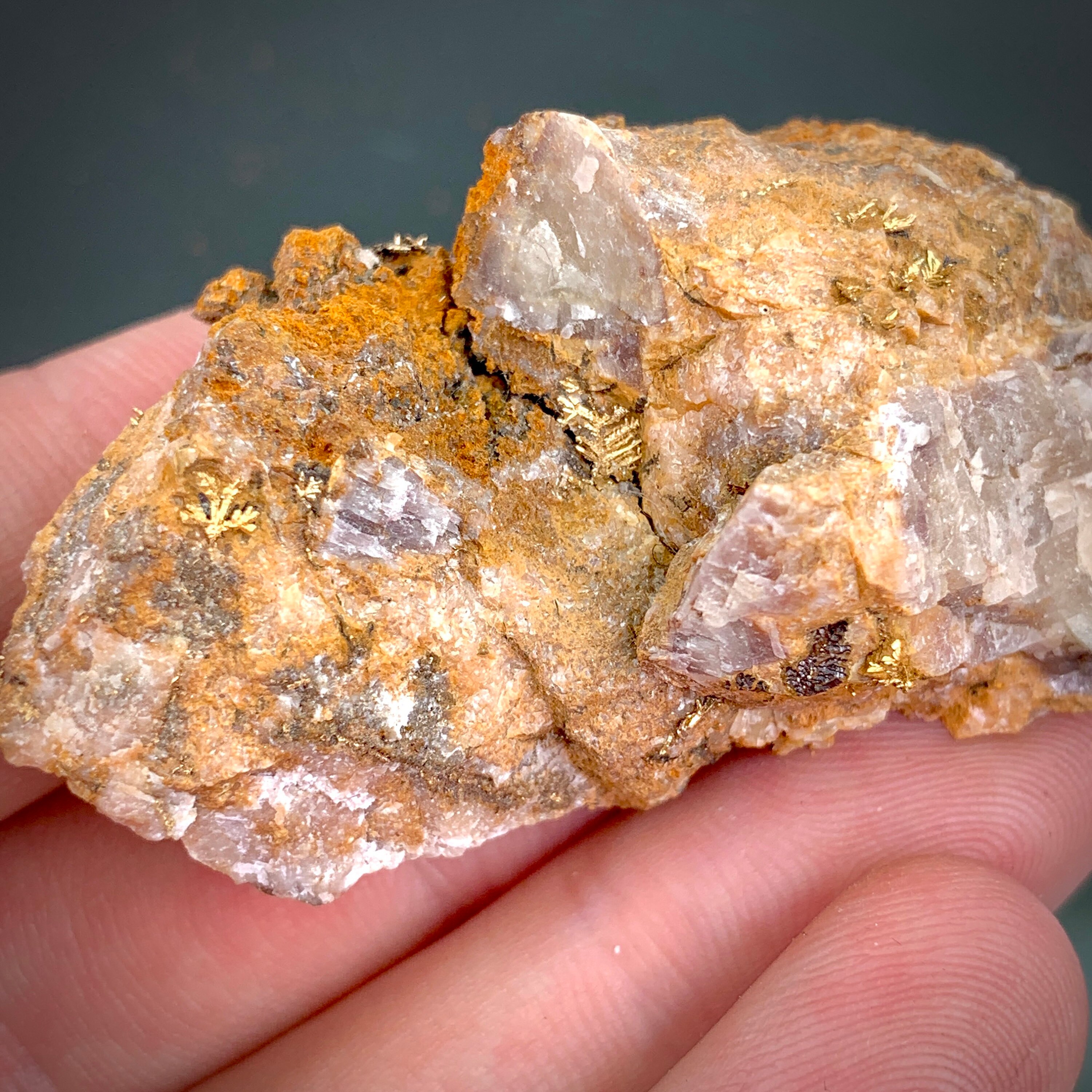 Native Gold Dendrites in Calcite Hope's Nose, Torquay, Devon, England.