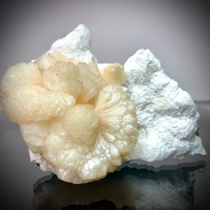 Puede incluir: Primer plano de un esp&eacute;cimen mineral que presenta un grupo de formaciones esf&eacute;ricas de color crema con estructuras radiales, sobre un fondo de roca blanca texturizada. El mineral tiene una apariencia cristalina.