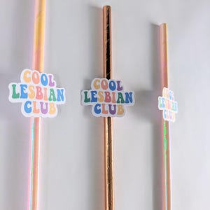 May include: Three colorful straws with a sticker that says "Cool Lesbian Club" on each. The straws are iridescent pink, copper, and iridescent pink.