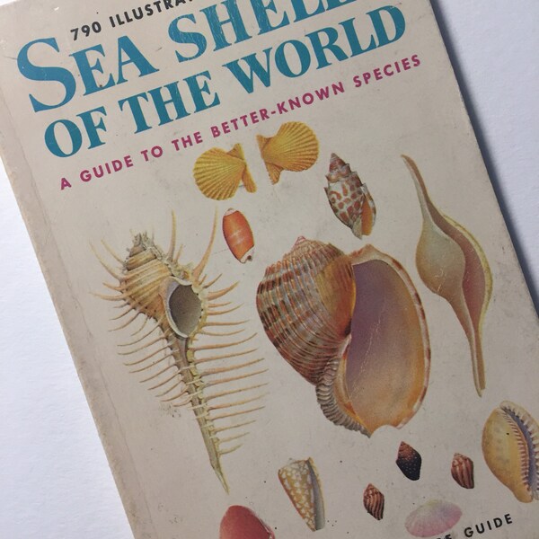 Vintage Sea Shells - A Golden Nature Guide - 1962