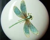 DRAGONFLY Design 2 Ceramic Drawer or Cabinet Knobs Home Decor