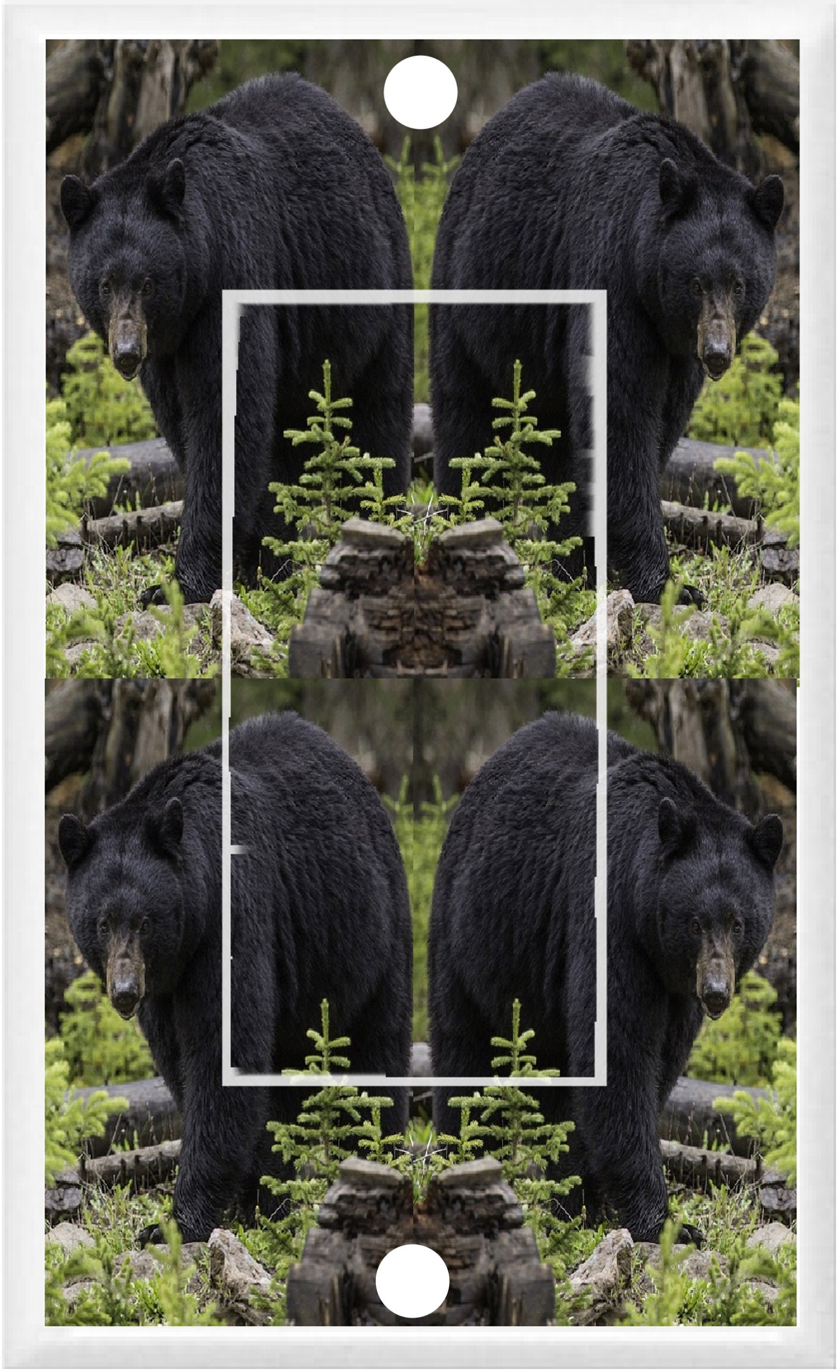 BLACK BEAR in the Woods # 3 Light Switch Cover Plate or Outlet Home ...