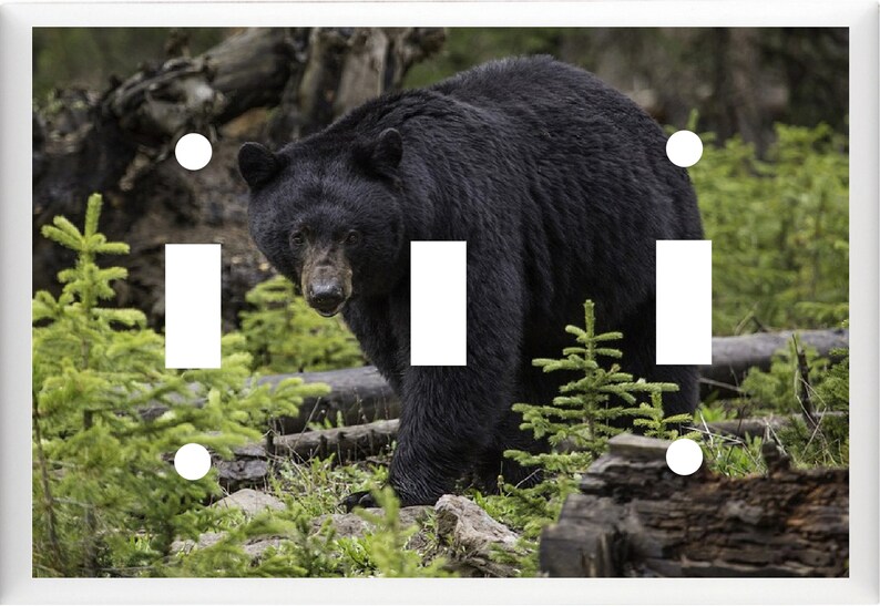 BLACK BEAR in the Woods # 3 Light Switch Cover Plate or Outlet Home ...