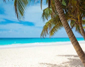 PALM TREE  White Sand BEACH  Computer  Mouse Pad  or Hot Pad  7 x 9  Fabric Top Rubber Backed