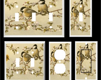 3dRose lsp_13778_6 Cute Blue Crown Conure Parrot Light Blue Background 2 Plug Outlet Cover 3dRose lsp_13778_6 Cute Blue Crown Conure Parrot Light Blue Background 2 Plug Outlet Cover