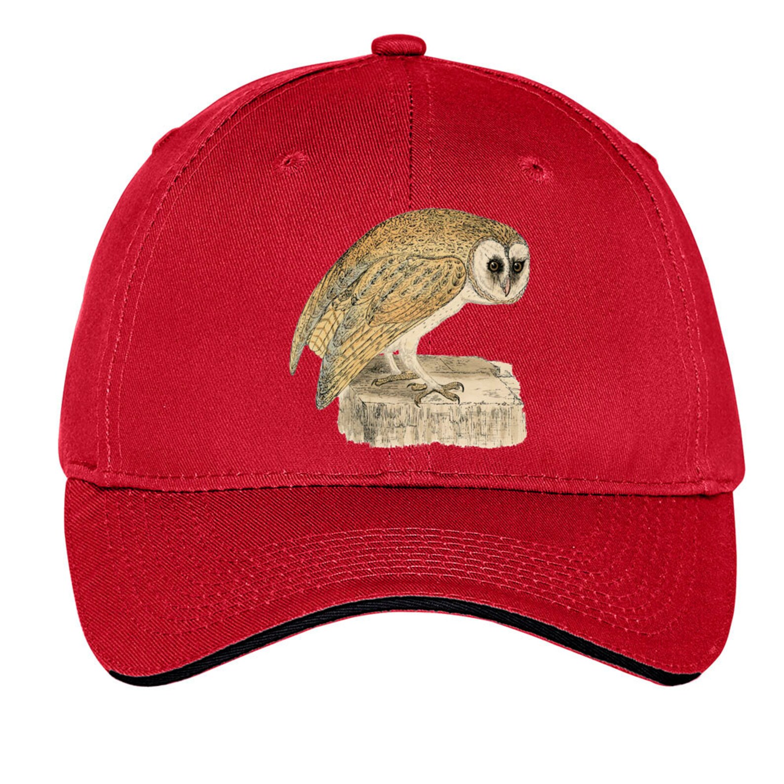 Vintage Owl Cap Baseball Hat Dad Hat Truckers Hat Birds of Etsy