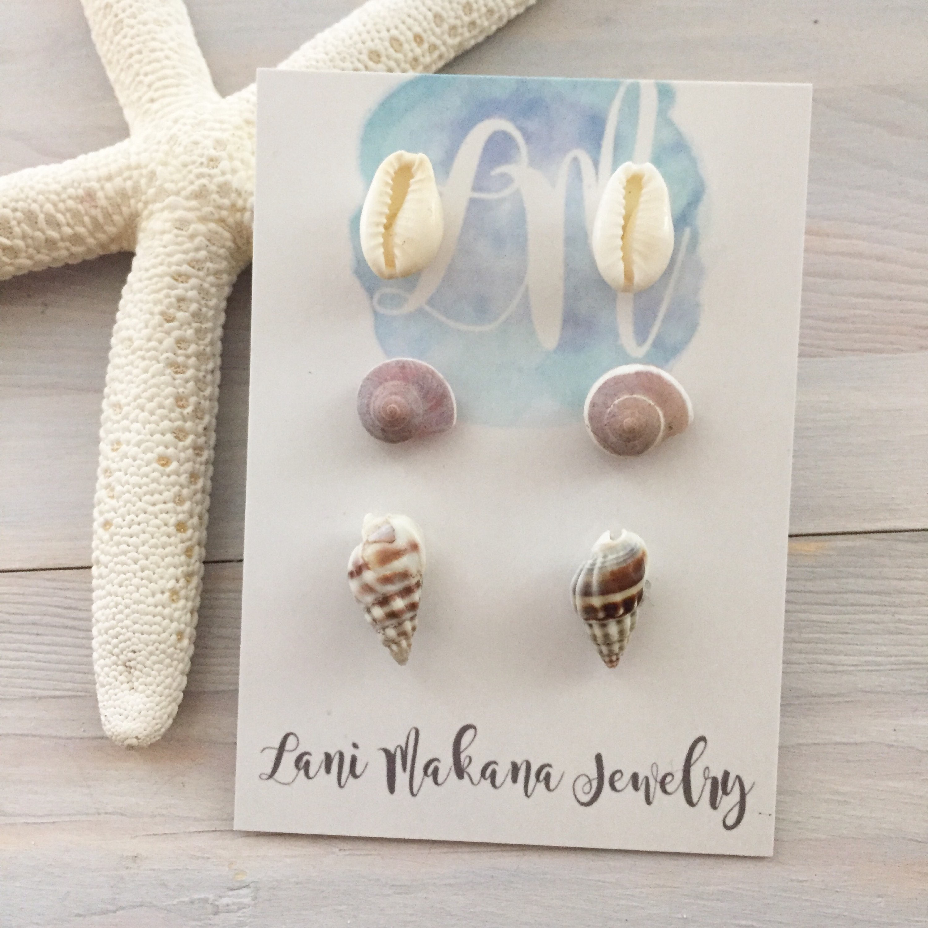 Beach Earring Set Earring Gift Set Seashell Stud Earrings Etsy