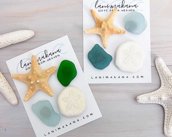 Beach Magnet Set - Sea Glass, Starfish, & Sand Dollar Magnets